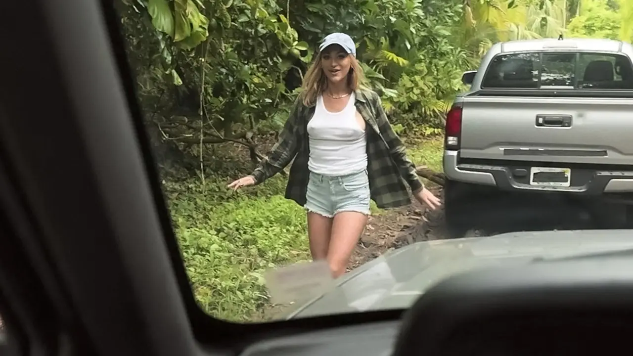 Dirty Pickup (RealityKings 2022)