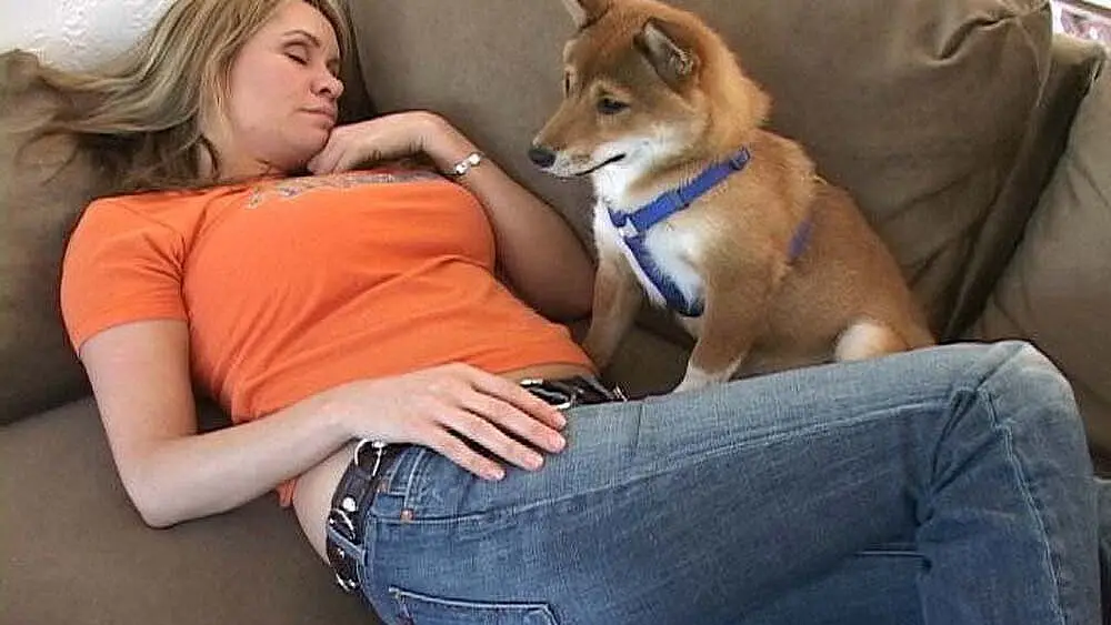 Bridgette Monroe fucking in the couch with her petite (NaughtyAmerica 2005)