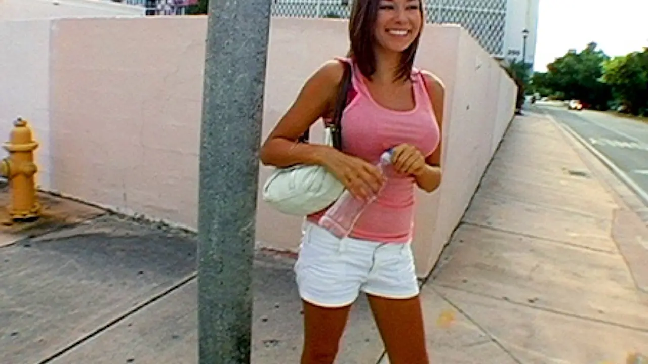 Milfhunting got me Brittny, a Sexy Stripper (Bangbros 2007)