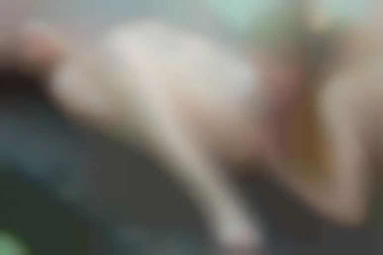 Ariel & Cayenne, lesbians games beside the lake (DorcelClub 2013)