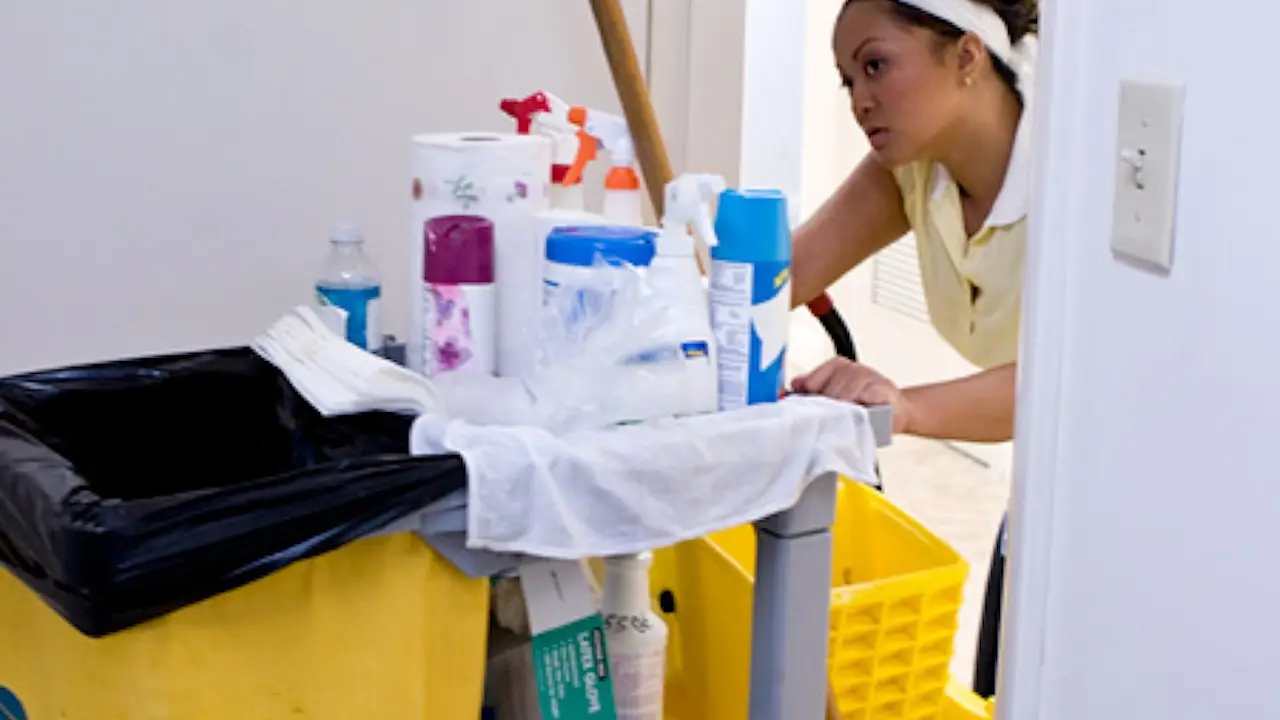 Housekeeper's double pleasure (Bangbros 2008)